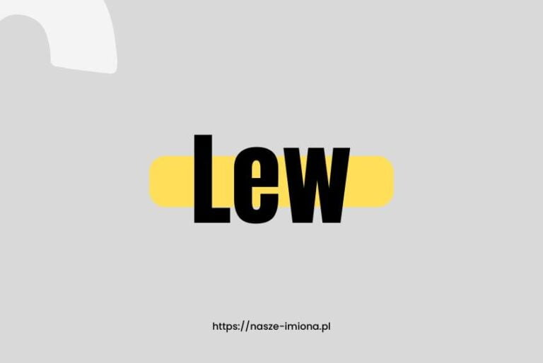 Ilustracja do artykułu:"Lew - poznaj znaczenie i pochodzenie imienia Lew oraz sławne osoby, które je noszą", opublikowana na portalu https://nasze-imiona.pl ­